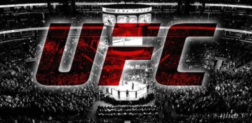 Особенности ставок на UFC (ЮФС) -